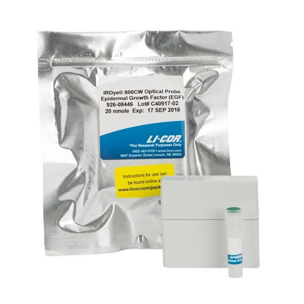IRDye® Secondary Antibodies - Shop | LICORbio