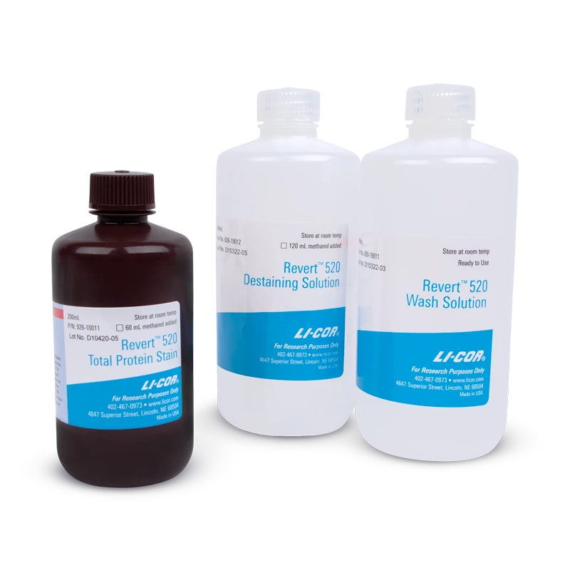 Revert 700 Total Protein Stain for Western Blot Normalization - Shop ...
