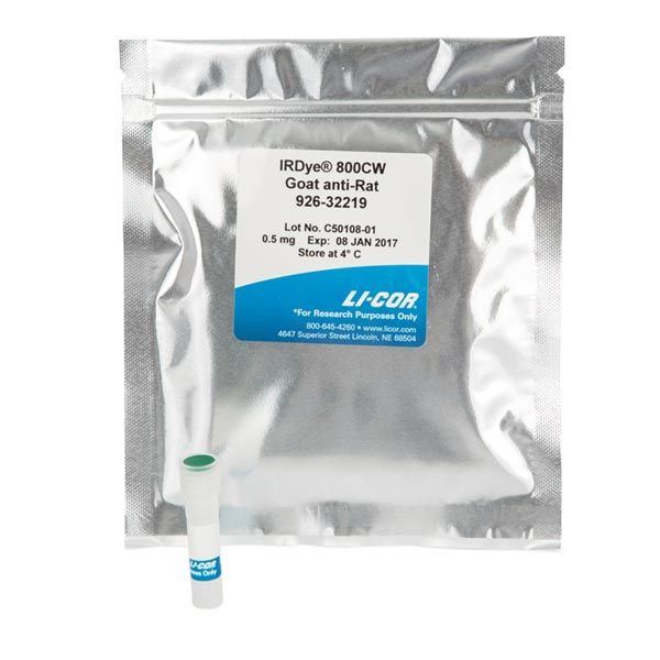IRDye 800CW Goat anti-Rat IgG Secondary Antibody - Shop | LICORbio