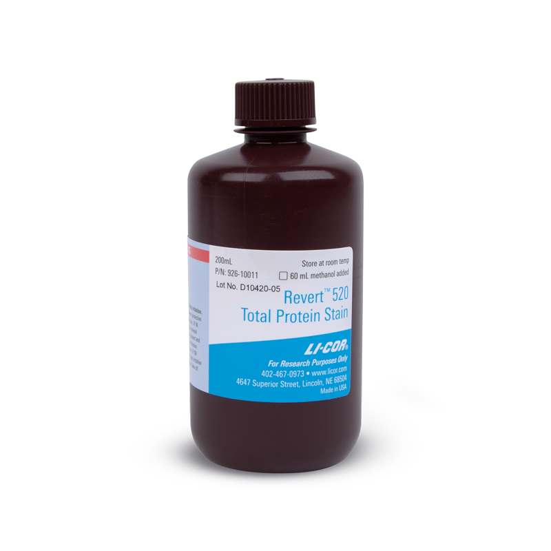 Revert 520 Total Protein Stain for Western Blot Normalization - Shop ...