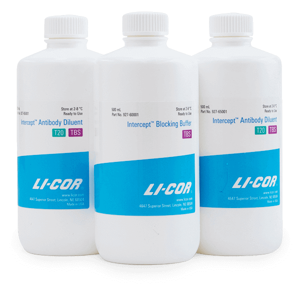Intercept (PBS) Blocking Buffer | LICORbio - Shop | LICORbio
