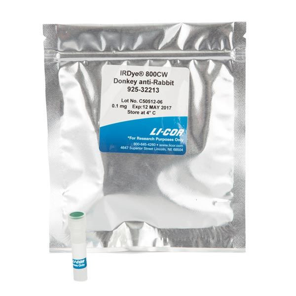 IRDye 800CW Goat anti-Rabbit IgG Secondary Antibody | LICORbio - Shop ...