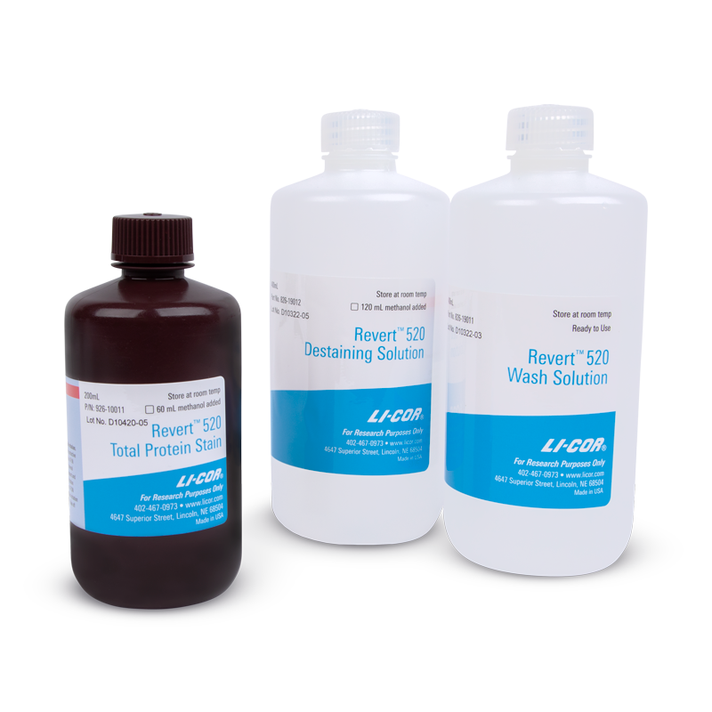 Revert 700 Total Protein Stain for Western Blot Normalization - Shop ...