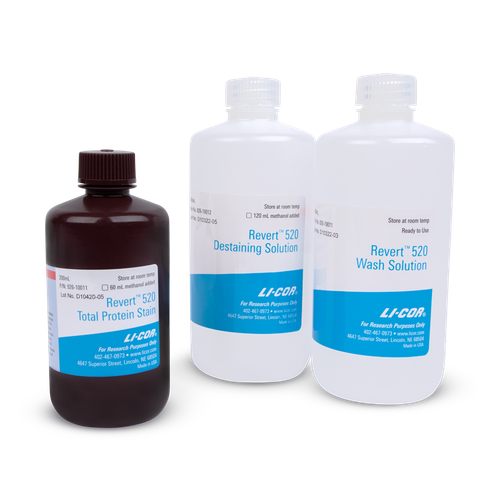 Revert™ 520 Total Protein Stain Kits for Western Blot Normalization