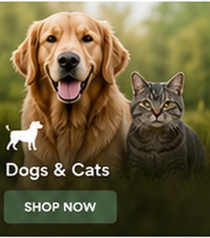 Dogs and Cats