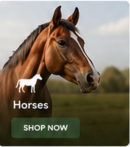 Horses