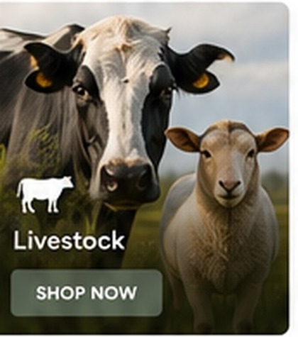 Livestock