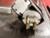 CLEVELAND ELECTRIC 3 GAL STEAM KETTLE (MF 2010) NO MANUFACTURERS WARRANTY