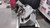 Hobart Commercial Meat Slicer