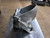HOBART PELICAN HEAD PELICAN HEAD