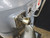 Hobart A 200  Legacy commercial food preparing machine.