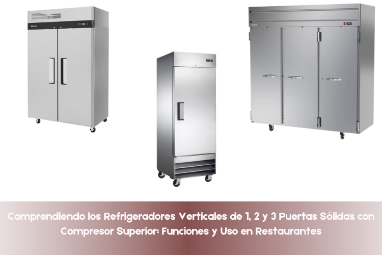Comprendiendo los Refrigeradores Verticales de 1, 2 y 3 Puertas Sólidas ...