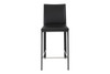 Hasina-C Counter Stool (Set of 2)|black_regen__leather