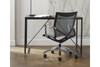 Tertu Office Chair|low_back lifestyle