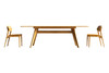 Currant Extendable Dining Table|caramelized