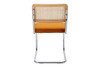 Hadley Velvet Dining Chair (Set of 2)|rust
