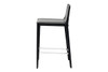 Palma Counter Stool (Set of 2)|black