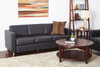 Pacific Easy-Care Faux Leather Sofa Couch|black lifestyle