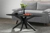 Starburst Oval Coffee Table|black_top___black_base lifestyle