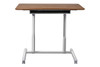 200 Series Stand Up Desk Adjustable and Mobile|walnut