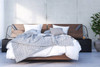 346031 Alibi Queen Size Platform Bed (Walnut) lifestyle
