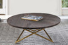 Anders Coffee Table. lifestyle