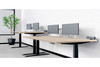 Braeden 48x30" Stand-Up Desk|teak