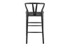 Evelina Outdoor Bar Stool|matte_black