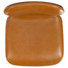 Tazmyn Leather Dining Chair|brown_walnut
