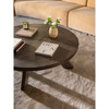 Alden Coffee Table|brown lifestyle