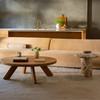 Alden Coffee Table|natural lifestyle