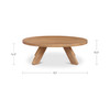 Alden Coffee Table|natural lifestyle