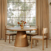Villetta Dining Chair (Set of 2)|multicolor lifestyle