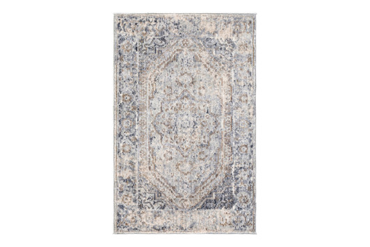 Liverpool Area Rug - LVP-2302|2ft_x_3ft