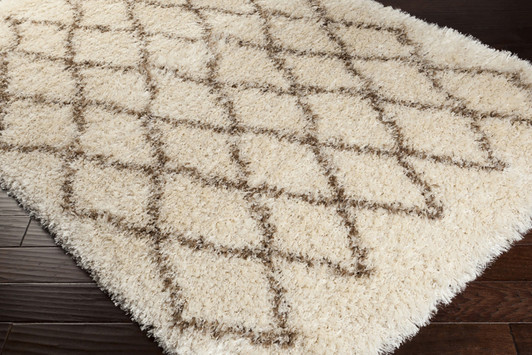 Rhapsody Area Rug - RHA-1007|5ft_x_8ft lifestyle