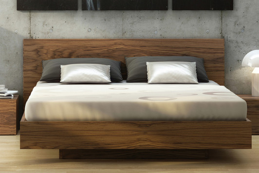 Float Bed with Mattress Support|queen lifestyle