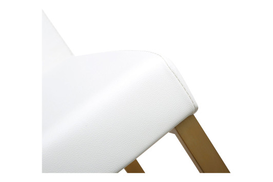 Shea Counter Stool (Set of 2)