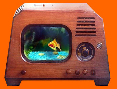 Telegenic Aquarium: Functional Art