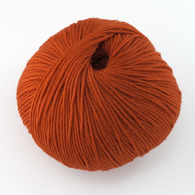 Cascade, 220 Superwash // 822 Pumpkin Cascade, 220 Superwash // 822 Pumpkin