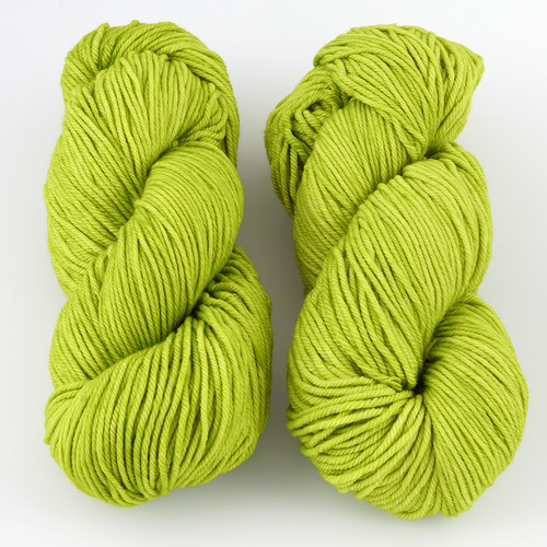 Malabrigo, Rios // Apple Green (011) at  The Loopy Ewe