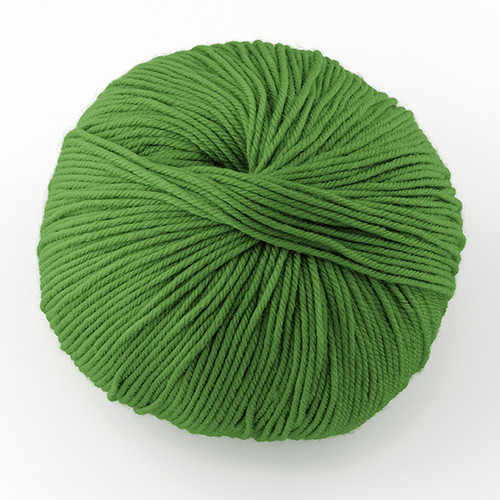 Cascade, 220 Superwash // 906 Chartreuse at  The Loopy Ewe