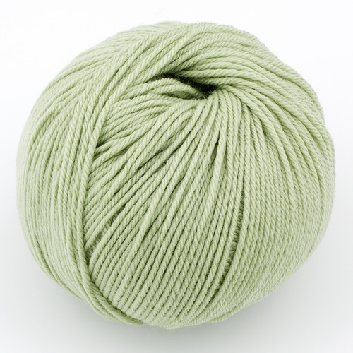 Cascade, 220 Superwash // 250 Laurel Green at  The Loopy Ewe