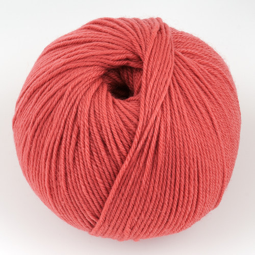 Cascade, 220 Superwash // 290 Chrysanthemum at  The Loopy Ewe