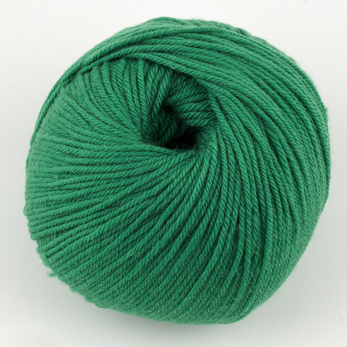 Cascade, 220 Superwash // 352 Verdant Green at  The Loopy Ewe