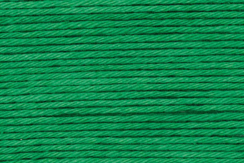 Rico Designs, Ricorumi DK // 049 Green at The Loopy Ewe