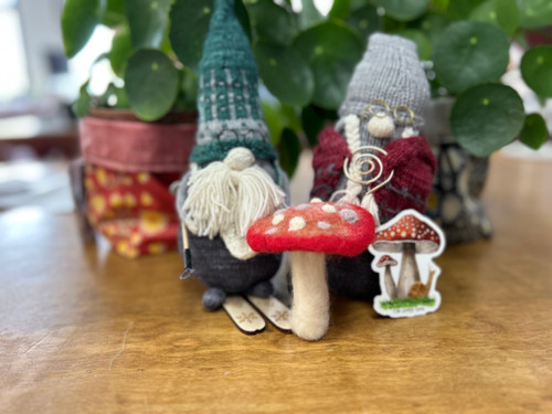 The Loopy Ewe, 2026 Classes // Learn to Needle Felt May2 at The Loopy Ewe