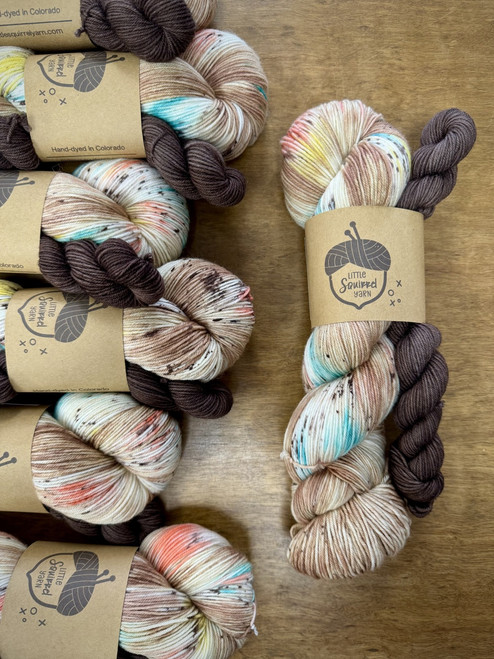 Little Squirrel Yarn, Sock Sets // Sundae Fun Day