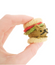 Mochimochi Land, Kits // Doggie Slider Kit