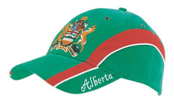 Brushed Heavy Cotton with Embroidered Peak Insert || 2528