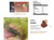  HD04062020B  Organic Rooibos tea 100G 40 Tea bags
